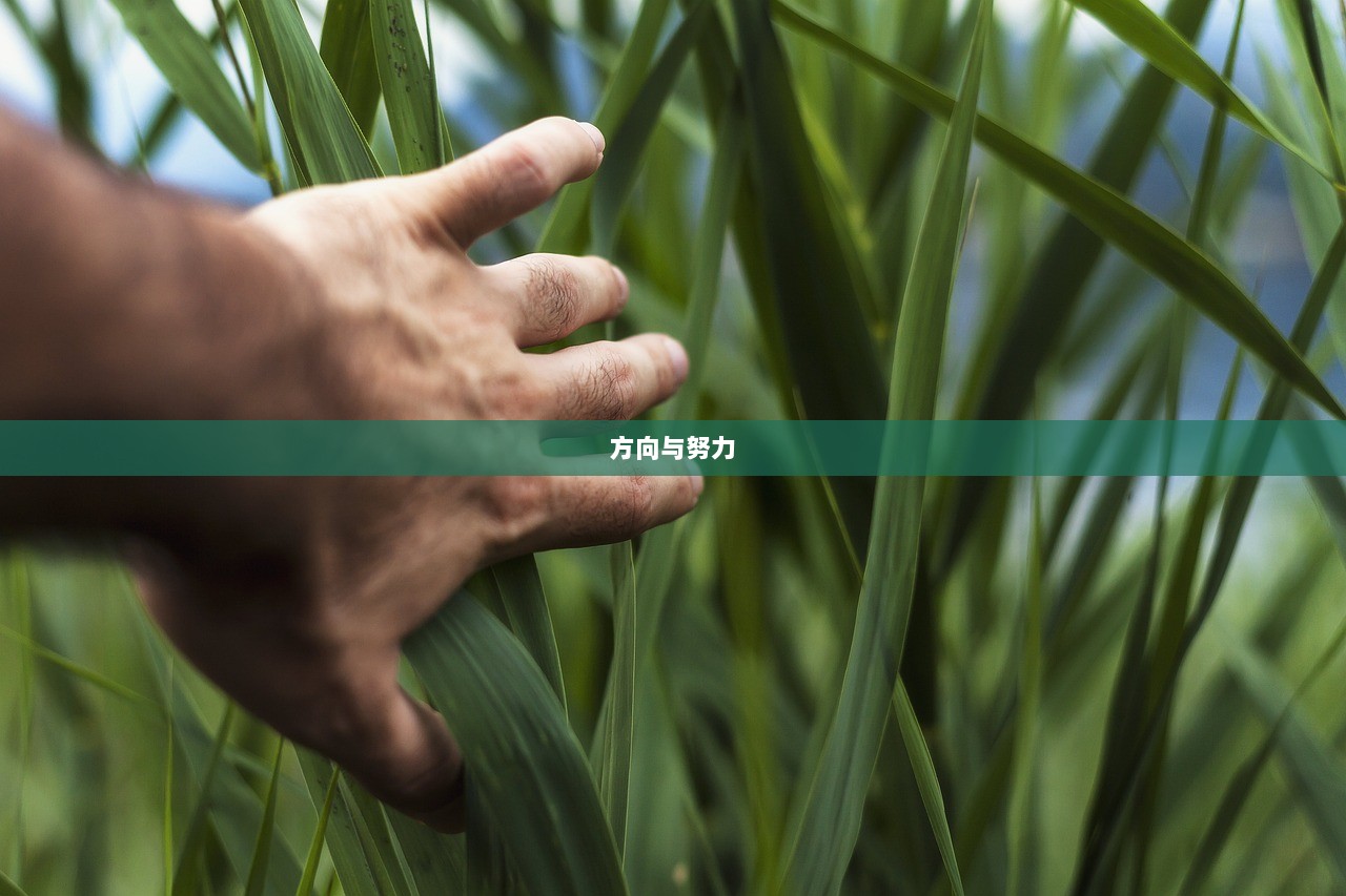 方向与努力