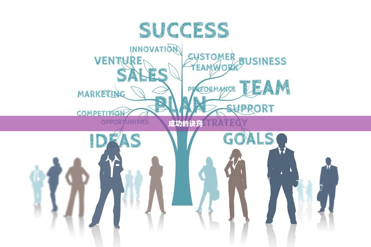 成功的诀窍