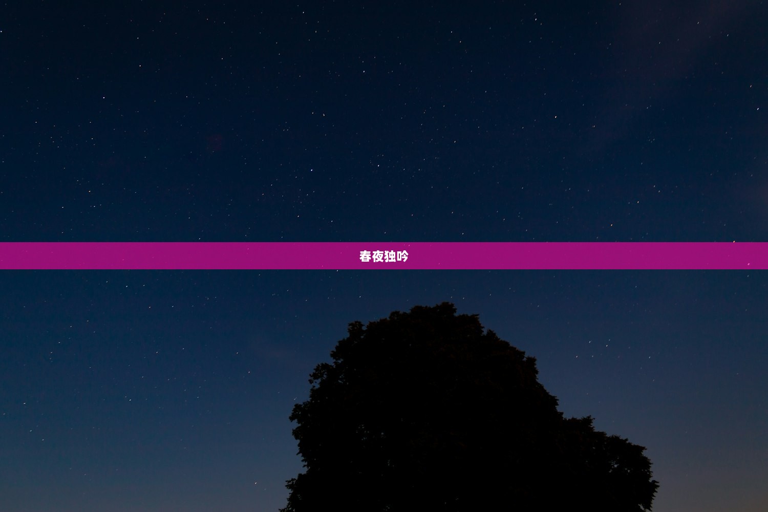 春夜独吟  第1张