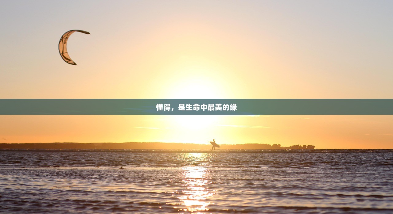 懂得，是生命中最美的缘