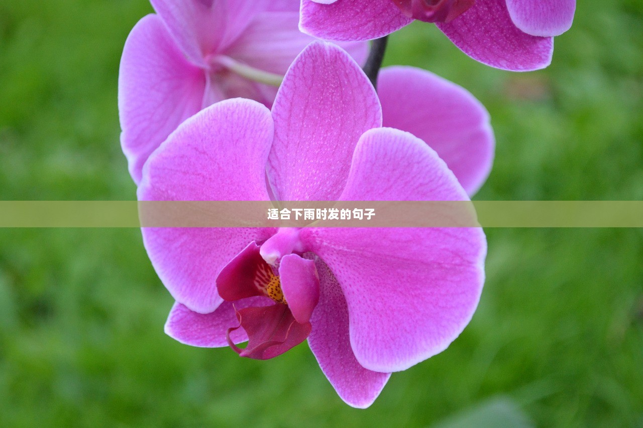 适合下雨时发的句子