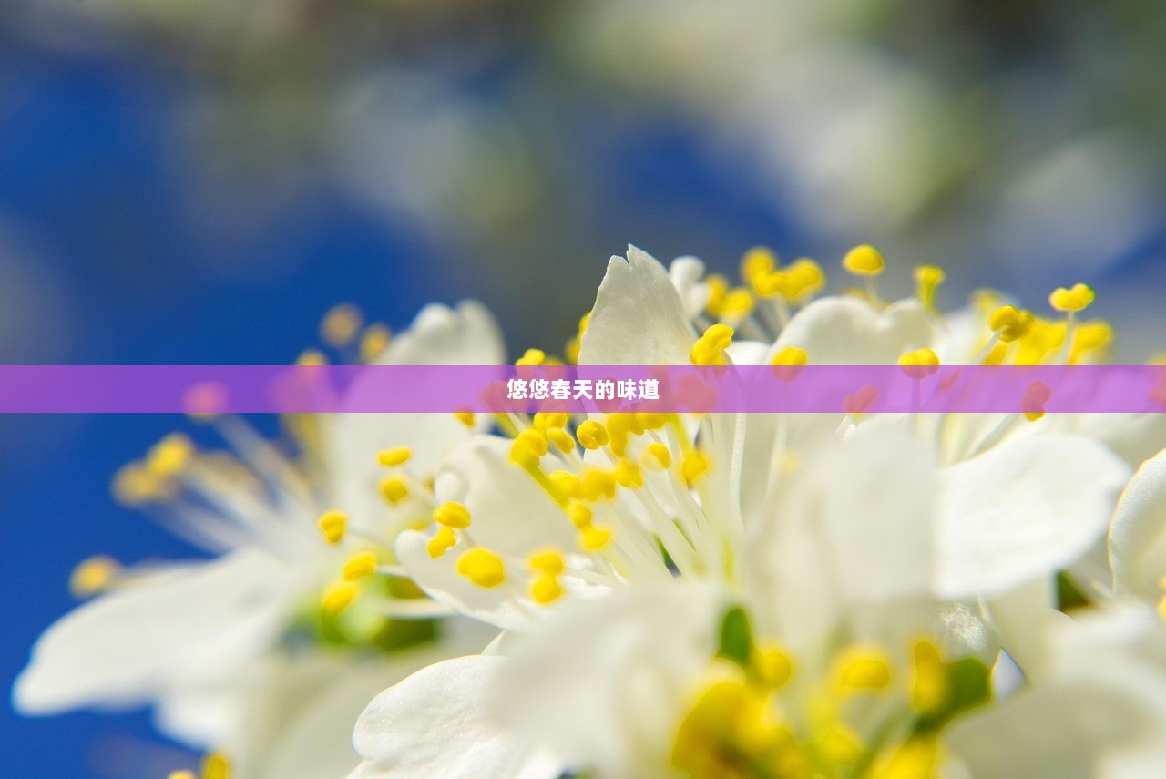 悠悠春天的味道