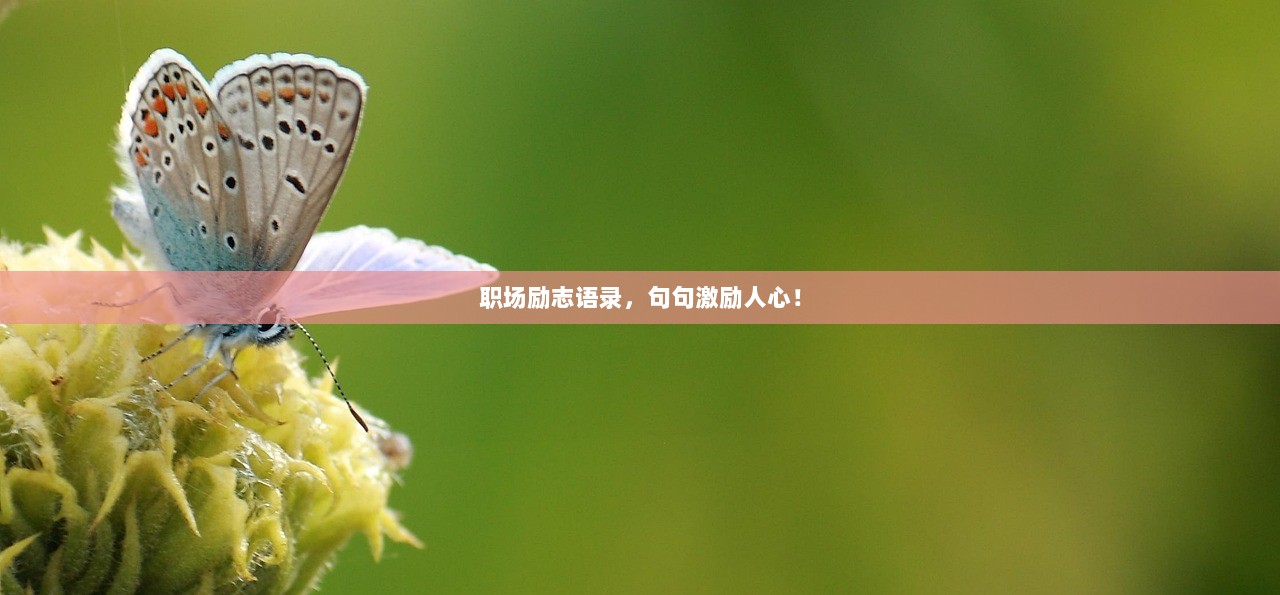 职场励志语录，句句激励人心！