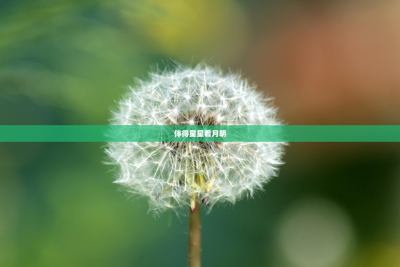 伴得星星看月明 第1张 伴得星星看月明 第1张