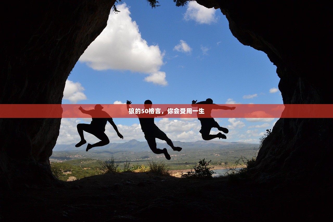 狼的50格言，你会受用一生
