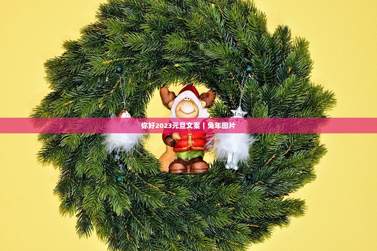 你好2023元旦文案｜兔年图片