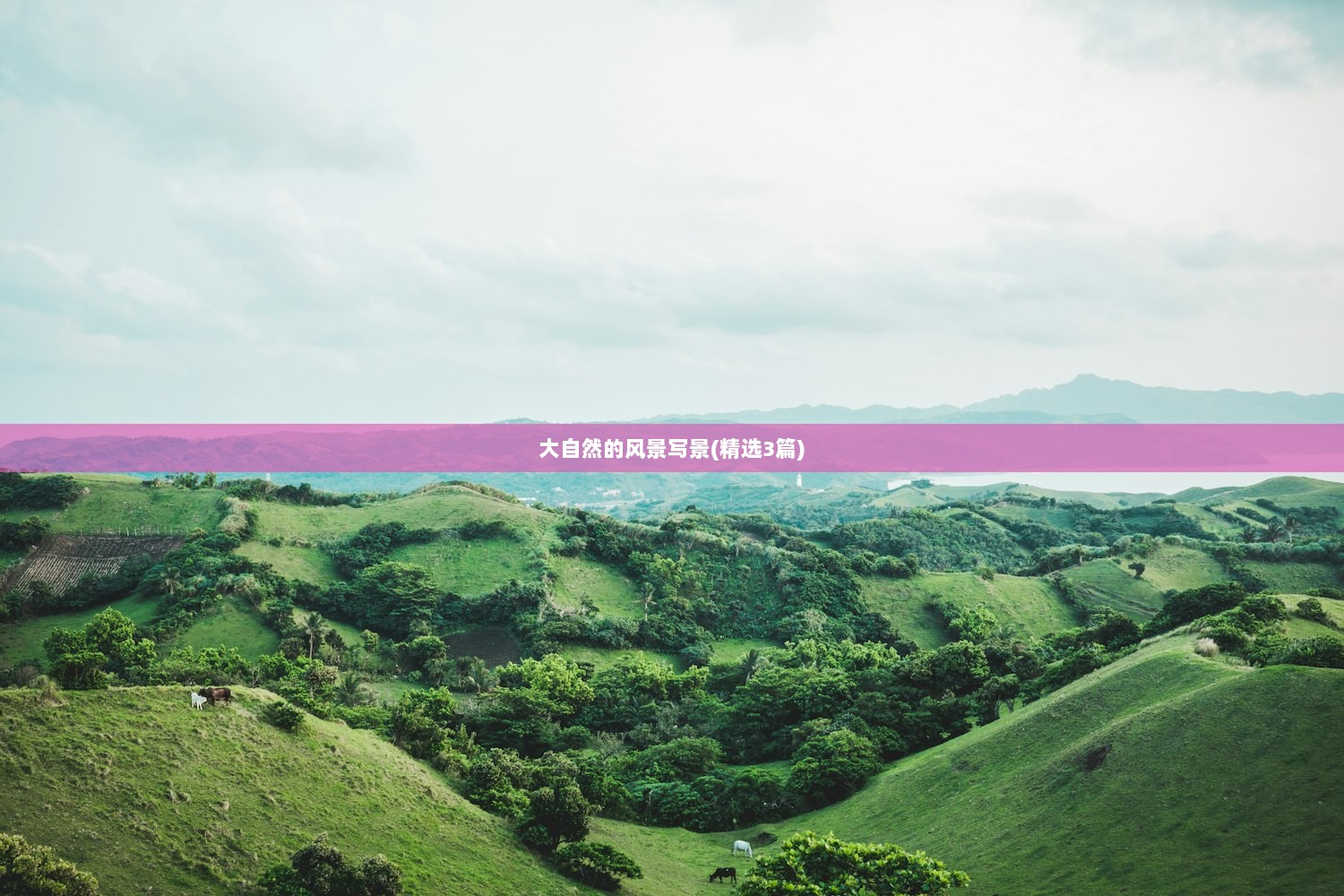 大自然的风景写景(精选3篇)